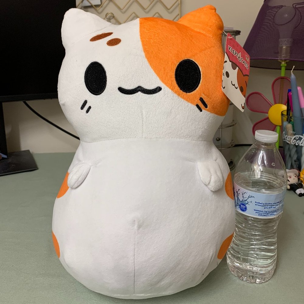 Big Orange and White Cat Kleptocat
